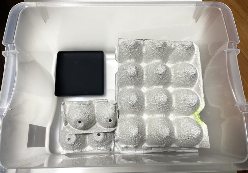 デュビア飼育ケースレイアウト