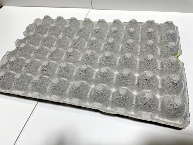 デュビアの隠れ家の卵パック