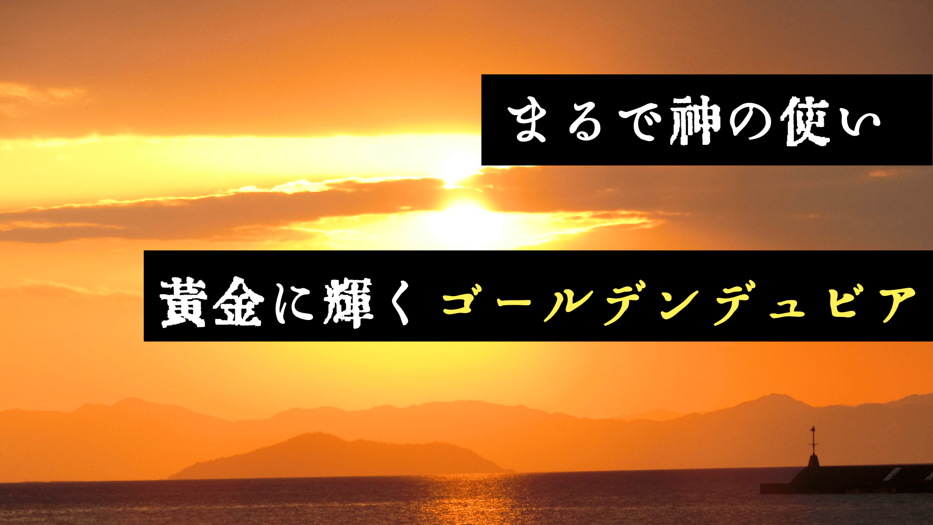 ゴールデンデュビア