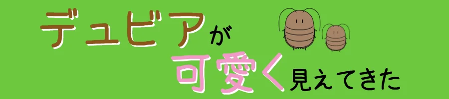 デュビアが可愛く見えてきた