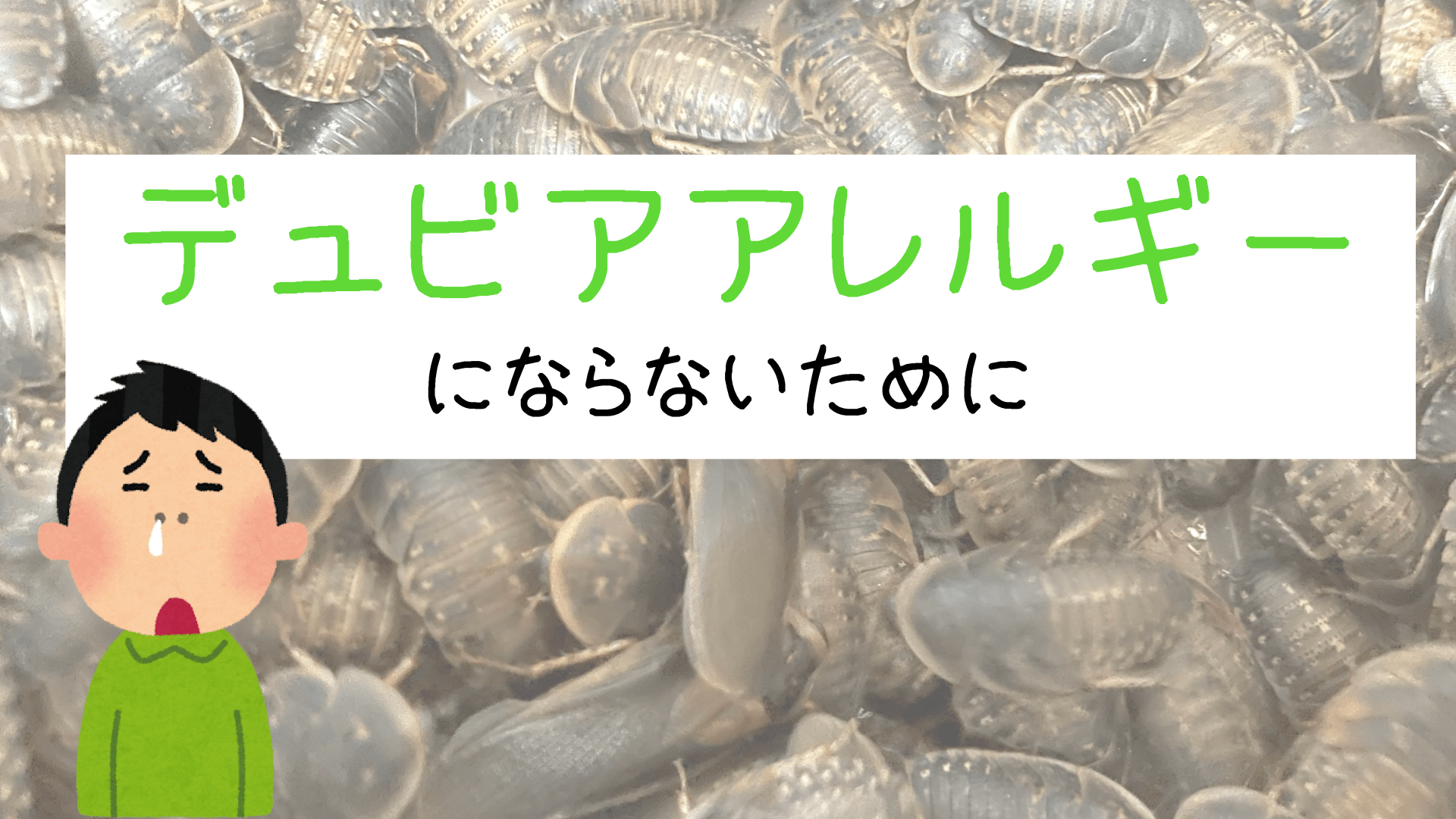 デュビアアレルギー