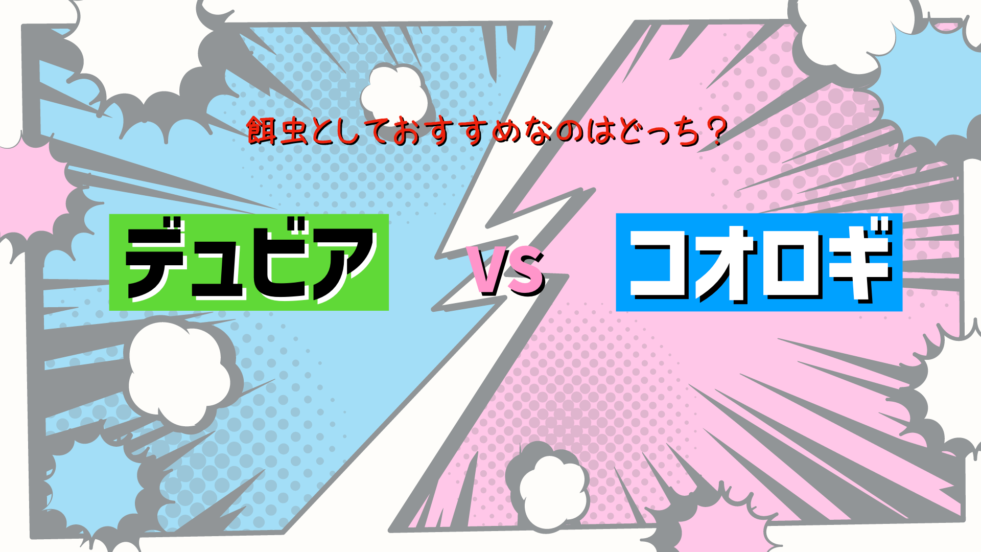 デュビアVSコオロギ