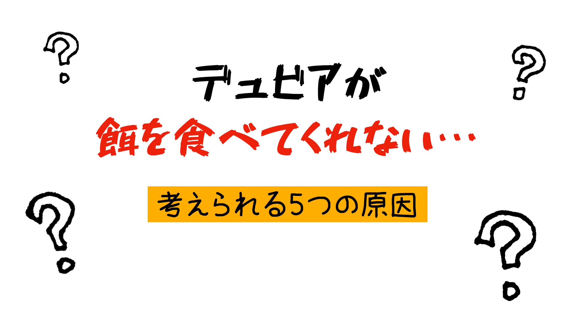 デュビアが餌を食べない
