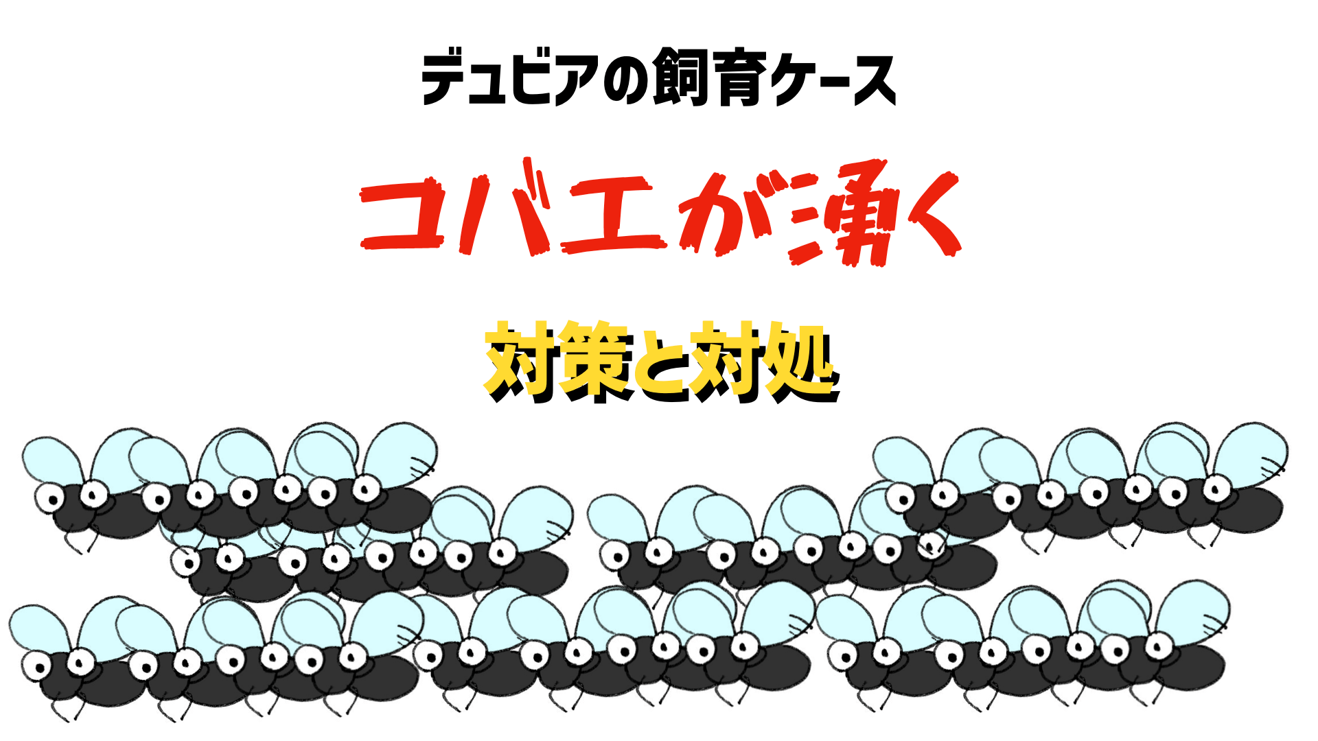 コバエの対策と対処