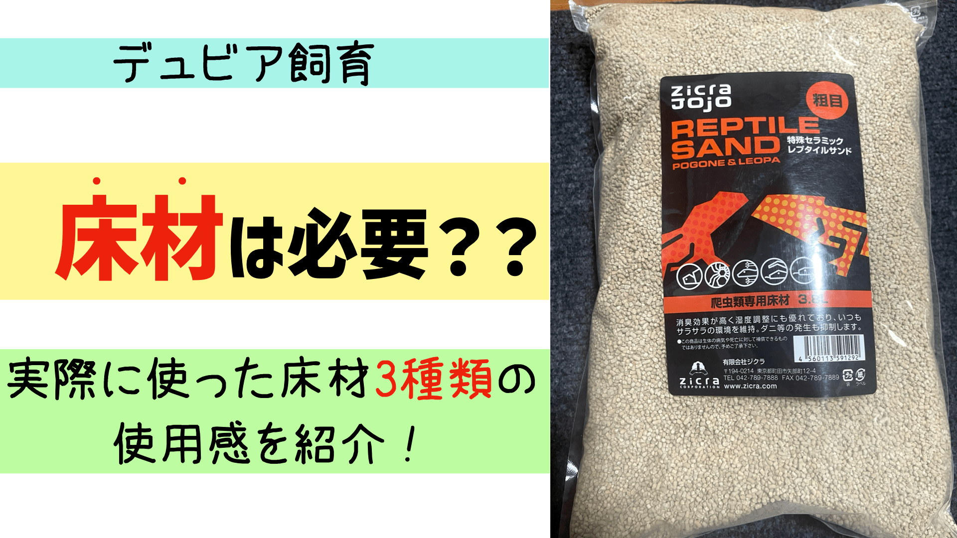 デュビア飼育に床材は必要か