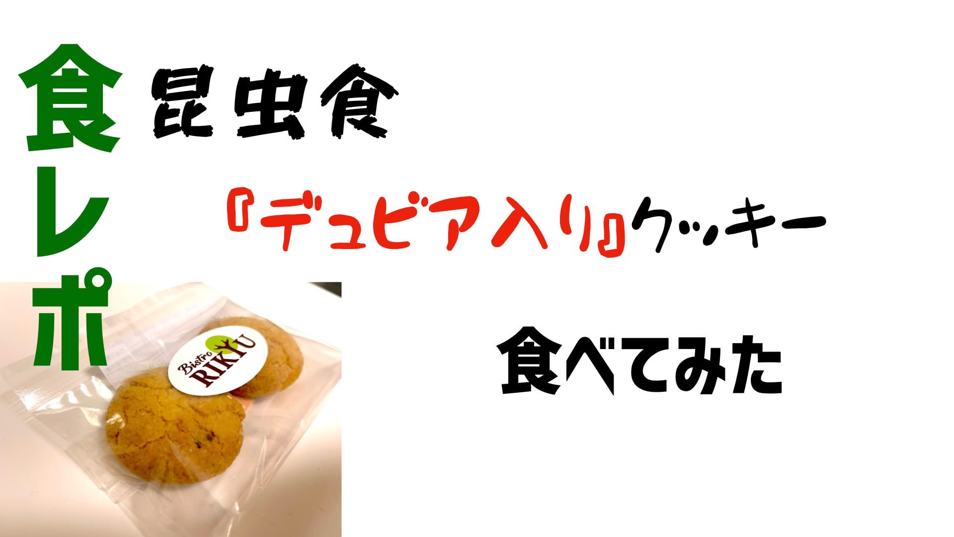 デュビア入りクッキー食べてみた