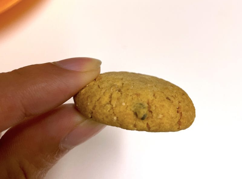 デュビア入りクッキー1