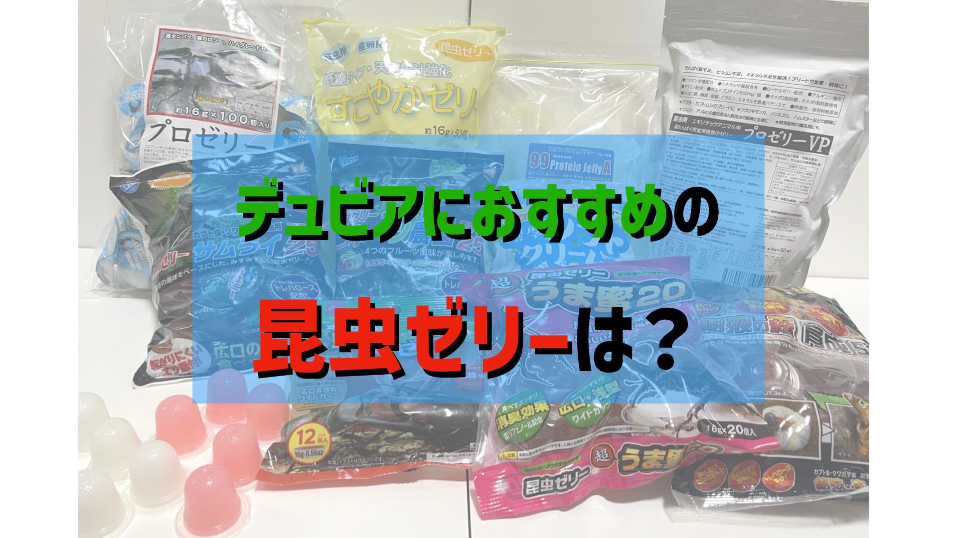 おすすめの昆虫ゼリーは？